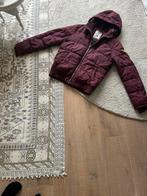 Damesjas maat  L - XL. 42 - 44 Bordeaux Rood ski jack, Ophalen of Verzenden, Zo goed als nieuw, Maat 42/44 (L), Rood