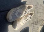 Schoenen, Ophalen, Overige kleuren, Steve madden, Sneakers of Gympen