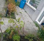 GRATIS tuintegels, Tuin en Terras, Ophalen, Overige materialen, Gebruikt, 5 tot 10 m²