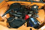 Bosch verdelerstofkap met ontstoring Opel 4 cilinder CIH, Ophalen
