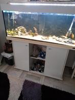 Aquarium, Ophalen, Zo goed als nieuw, Leeg aquarium