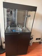 Juwel lido 120, Ophalen, Filter of Co2