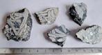 Edelweiss steen Oostenrijk (5)., Ophalen of Verzenden, Mineraal