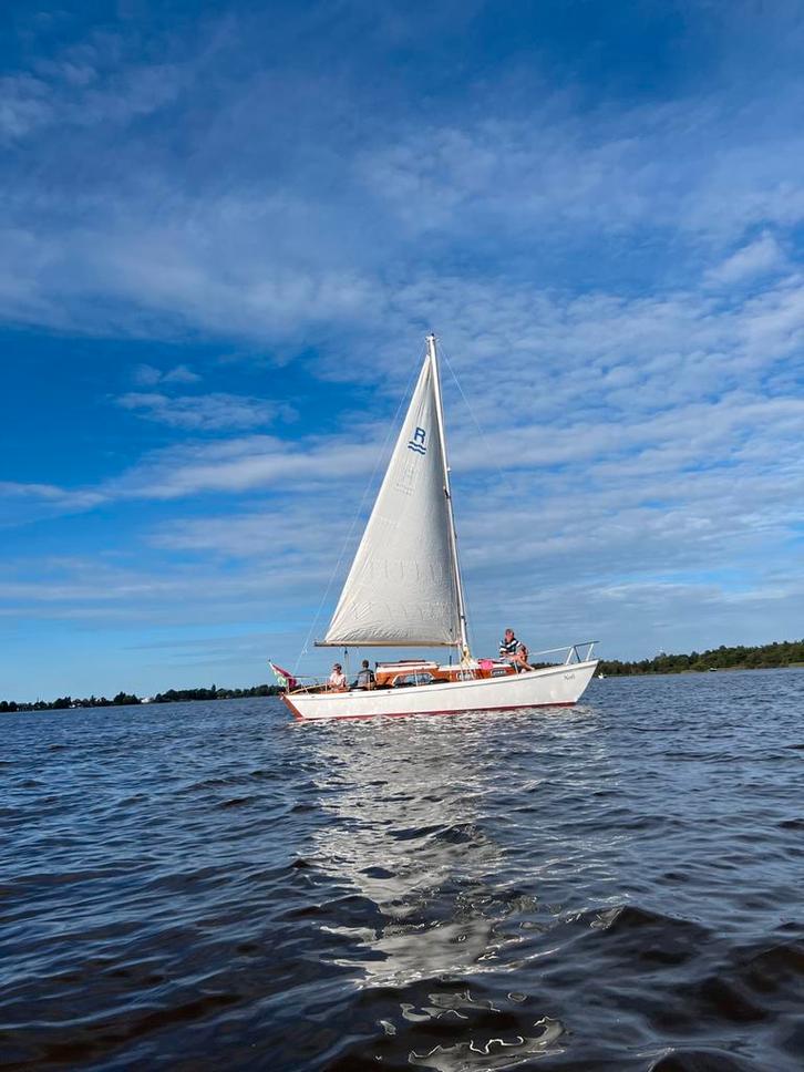 Regina 2, zeilboot, Watersport en Boten, Kajuitzeilboten en Zeiljachten, Gebruikt, Tourjacht of Cruiser, Staal, 6 tot 9 meter