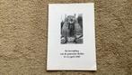Fotoboek, De bevrijding v/d gemeente Beilen 11-12april 1945, Boeken, Ophalen of Verzenden, Zo goed als nieuw