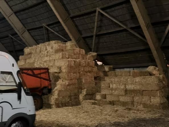 mooi geste stro, Dieren en Toebehoren, Paarden en Pony's | Overige Paardenspullen, Nieuw, Overige soorten, Ophalen