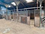 Paardenboxen te koop