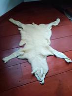 Huid Lam Texelaar taxidermie vacht kleed, Ophalen of Verzenden, Zo goed als nieuw, Boerderijdier, Opgezet dier