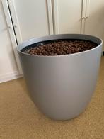 Verrijdbare plantenbak zonder korrels, Tuin en Terras, Bloembakken en Plantenbakken, Ophalen, Kunststof, Binnen, Minder dan 60 cm