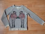 Trui/sweater zebra's van C&A maat 158/164, Kinderen en Baby's, Kinderkleding | Maat 158, Ophalen, C&A, Meisje, Trui of Vest