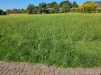 Midibalen hooi 2025., Dieren en Toebehoren
