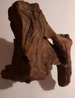 Groot stuk kienhout, Ophalen of Verzenden, Gebruikt, Plant(en), Steen of Hout