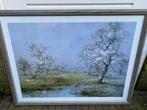schilderij/poster, Ophalen, Gebruikt, Overige typen, 75 tot 100 cm