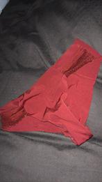 Bordeaux slipje, Kleding | Dames, Ondergoed en Lingerie, Ophalen of Verzenden, BH