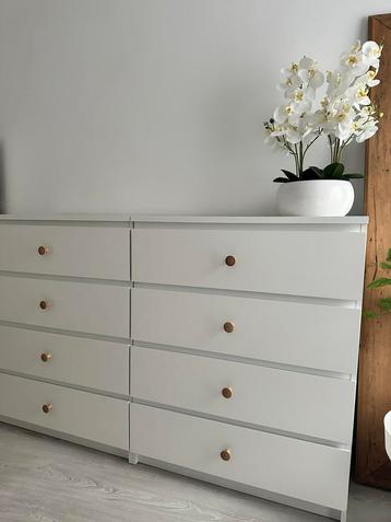 Twee orchideen rn pot.