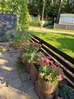 Stacaravan + Staplek camping Laarbrug 3.75 x 10 mtr  Ommen, Caravans en Kamperen