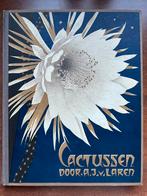 Oud plaatjesalbum CACTUSSEN met meer dan 120 plaatjes 1931, Boeken, Prentenboeken en Plaatjesalbums, Ophalen of Verzenden, Gelezen