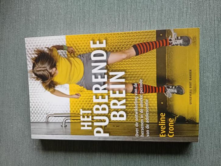 Eveline Crone - Het puberende brein, Boeken, Psychologie, Zo goed als nieuw, Ontwikkelingspsychologie, Ophalen of Verzenden