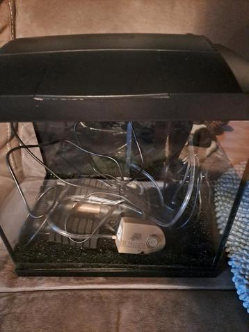 Aquarium  beschikbaar voor biedingen