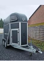 1.5 paards te huur, Dieren en Toebehoren, Ophalen, Gebruikt, Overige soorten