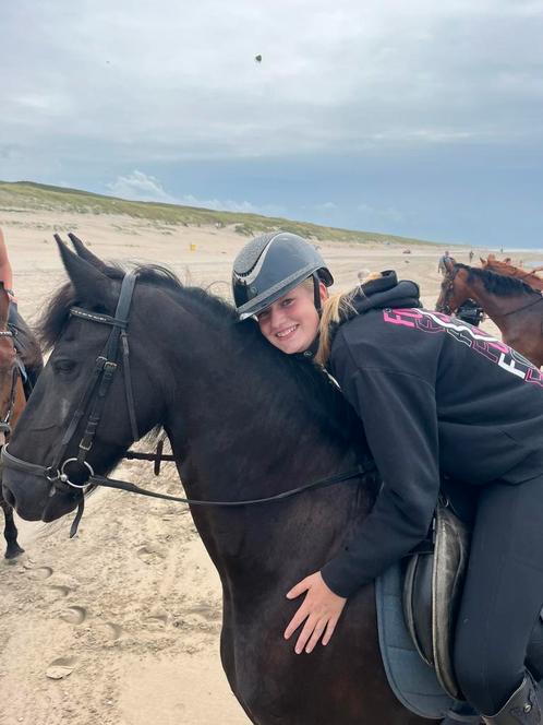 Verzorger/ bijrijder aangeboden, Dieren en Toebehoren, Paarden en Pony's | Verzorgingsproducten, Nieuw, Ophalen of Verzenden