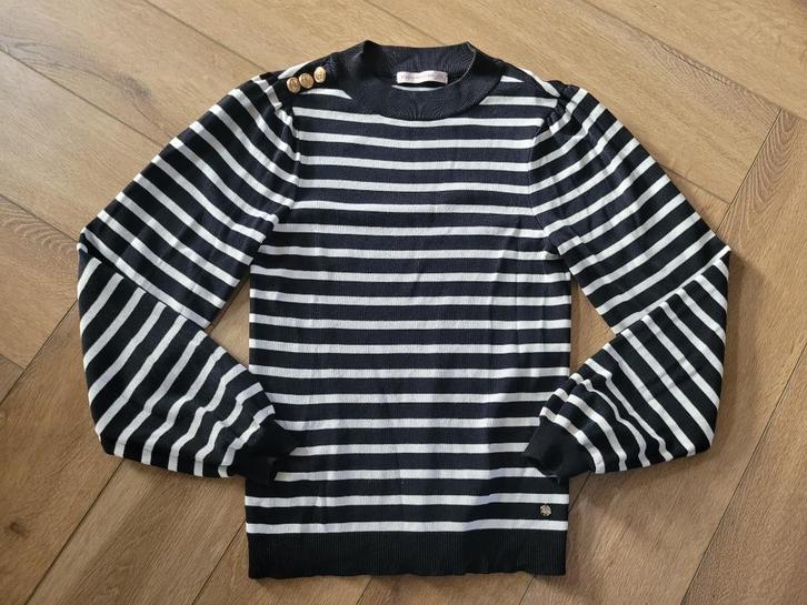 Prachtige trui van Studio Anneloes, maat XS-S, Kleding | Dames, Truien en Vesten, Zo goed als nieuw, Maat 36 (S), Ophalen of Verzenden