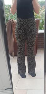 Panterprint flaired broek xs petite, Vero Moda, Nieuw, Ophalen of Verzenden, Maat 34 (XS) of kleiner