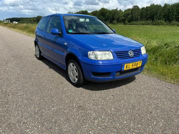 Volkswagen Polo 1.0 MPI blauw, Zeer leuk, zuinig autotje. beschikbaar voor biedingen