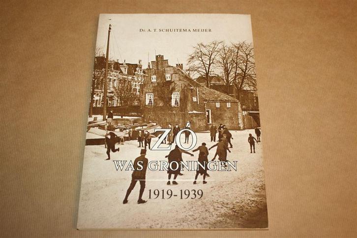 Zó was Groningen 1919-1939 - Uitgave 1976, Boeken, Geschiedenis | Stad en Regio, Gelezen, Ophalen of Verzenden