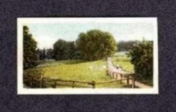 Albumplaatje Oosterbeek Weg naar Oorsprong (74). beschikbaar voor biedingen