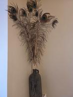 Pauwenveren, Huis en Inrichting, Woonaccessoires | Droogbloemen, Ophalen of Verzenden