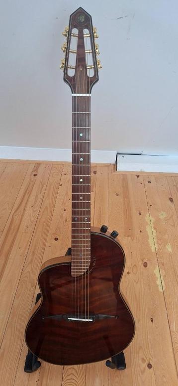 Gitaren linkshandig linkshandige beschikbaar voor biedingen