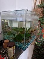 Aquarium 35 liter, Zo goed als nieuw, Ophalen, Leeg aquarium