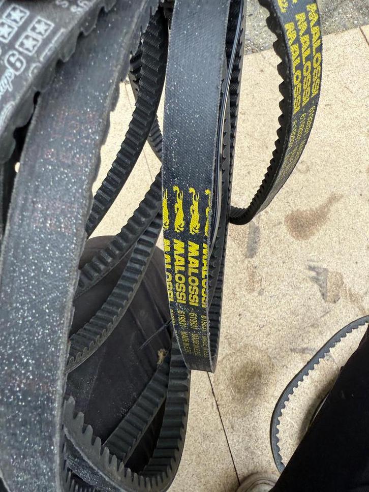 Malossi/ stage 6/ dayco vsnaren piaggio lang carter, Motoren, Tuning en Styling, Ophalen of Verzenden