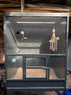 Prijsverlaging - Ruime quarantaine kooi, Ophalen, Zo goed als nieuw, Aluminium, Vogelkooi