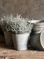 Zilverstruikje kunst, Sliedrecht, Nieuw, Ophalen of Verzenden, Home Fourteen