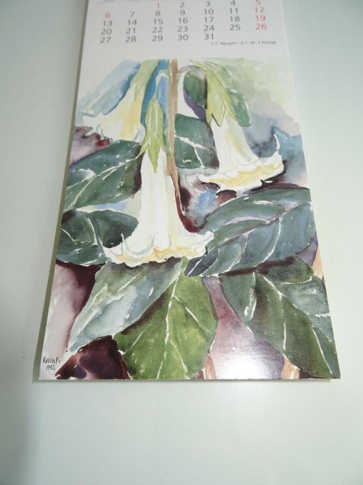 KUNST - 13 Ansichtkaarten  AQUAREL met BLOEMEN (Nieuw), Antiek en Kunst, Kunst | Tekeningen en Foto's, Ophalen