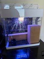 Aquarium Panorama 35 wit:  zo goed als nieuw, Dieren en Toebehoren, Vissen | Aquaria en Toebehoren, Ophalen of Verzenden, Zo goed als nieuw