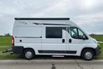 Pössl Roadcar R540 buscamper te koop, Caravans en Kamperen, Campers, Diesel, Bedrijf, Pössl, 5 tot 6 meter