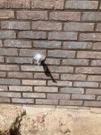 Gezocht : Vandersanden gevelsteen livorno, Ophalen, Bakstenen