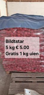Nieuwe oogst Frieslanders en   Bildtstar aardappelen, Ophalen