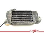 RADIATEUR BMW R 1200 C (R1200C 97) (01-1997/-), Motoren, Onderdelen | BMW, Gebruikt