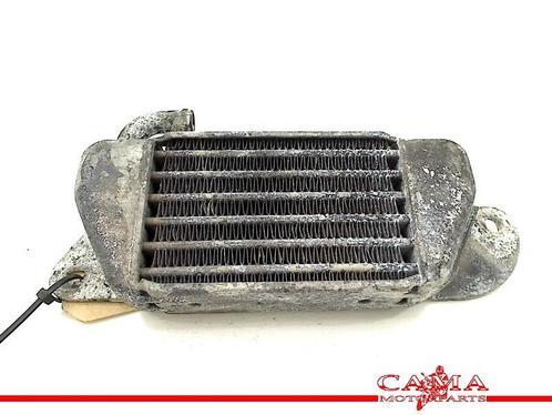 RADIATEUR BMW R 1200 C (R1200C 97) (01-1997/-), Motoren, Onderdelen | BMW, Gebruikt