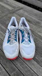 Wilson Padel Schoenen - Maat 45 1/3 (US 11), Sport en Fitness, Padel, Ophalen of Verzenden