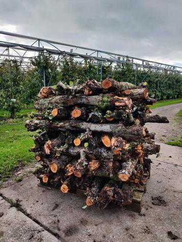 Verse Perenstammen Haardhout beschikbaar voor biedingen