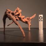 Mooi stuk Kienhout / Driftwood / Spiderwood, Hout Decoratie, Ophalen of Verzenden, Zo goed als nieuw, Plant(en), Steen of Hout