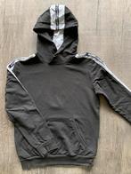 Leuke hoody maat 152, Kinderen en Baby's, Kinderkleding | Maat 152, Ophalen of Verzenden, Zo goed als nieuw, Jongen, Trui of Vest