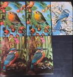 Vogel platen (per stuk 2 euro), Kinderen en Baby's, Ophalen of Verzenden, Zo goed als nieuw, Wanddecoratie