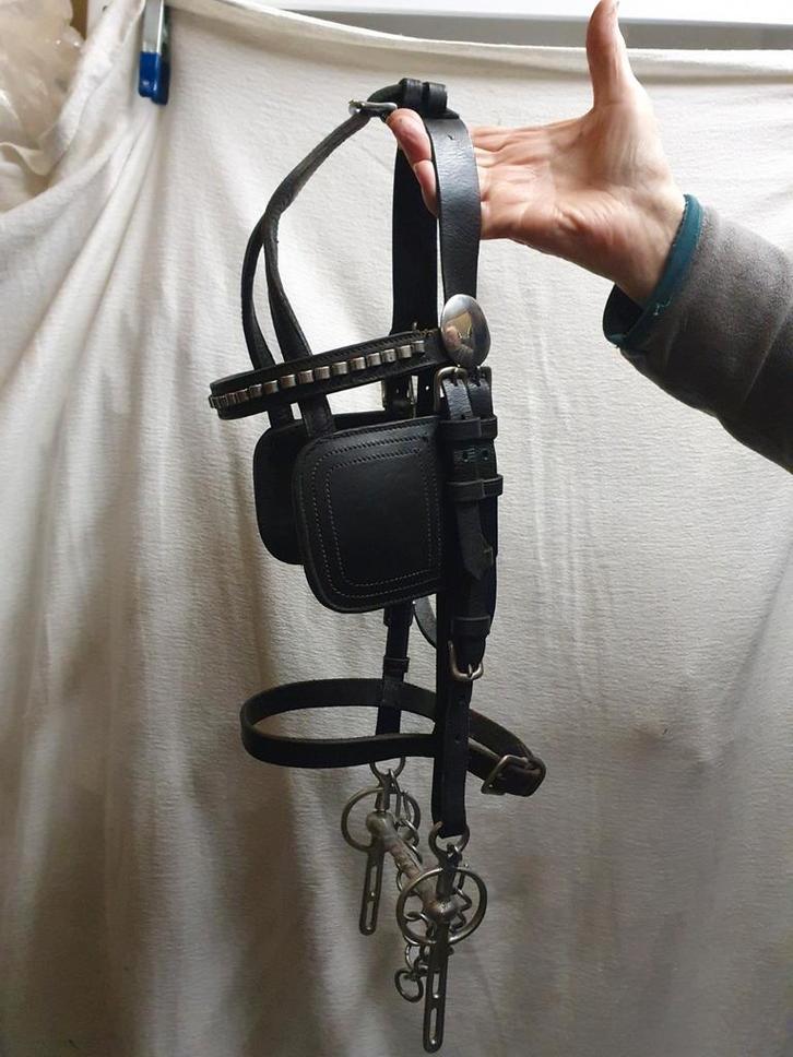 Netjes onderhouden borst tuig voor pony 140 cm LEER  ZWART, Dieren en Toebehoren, Paarden en Pony's | Hoofdstellen en Tuigage