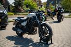 KAWASAKI ELIMINATOR 500, Chopper, Bedrijf, 451 cc, 12 t/m 35 kW
